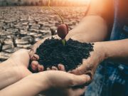 Climate Resilient Plants for Future (CRPF) Batch-3