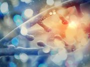 Hands-on Training on Nanobiotechnology (HoT Nano) : Batch 2