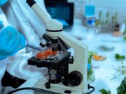 Tools and Techniques of Molecular Cloning - Batch 3